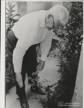 AF13Image(1)